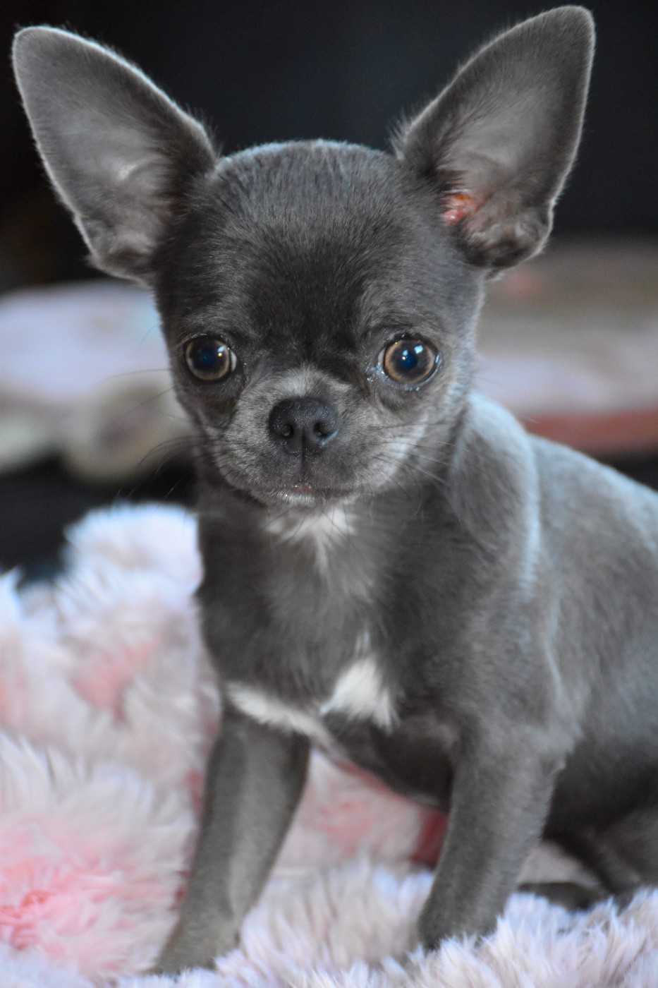 Rio Alonzo (Sans Affixe)