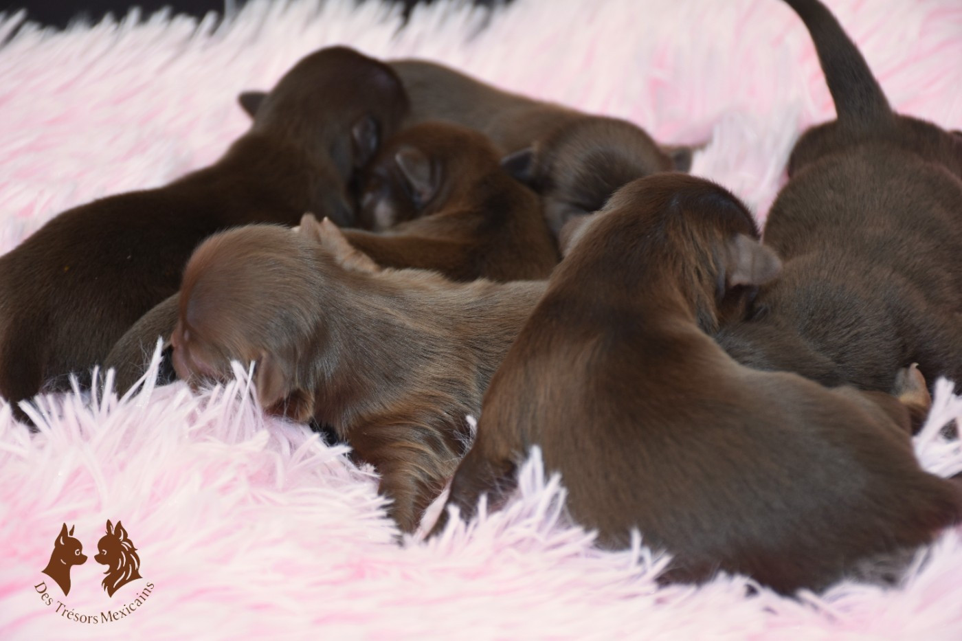 bébés disponibles n'hésitez pas à me contacter